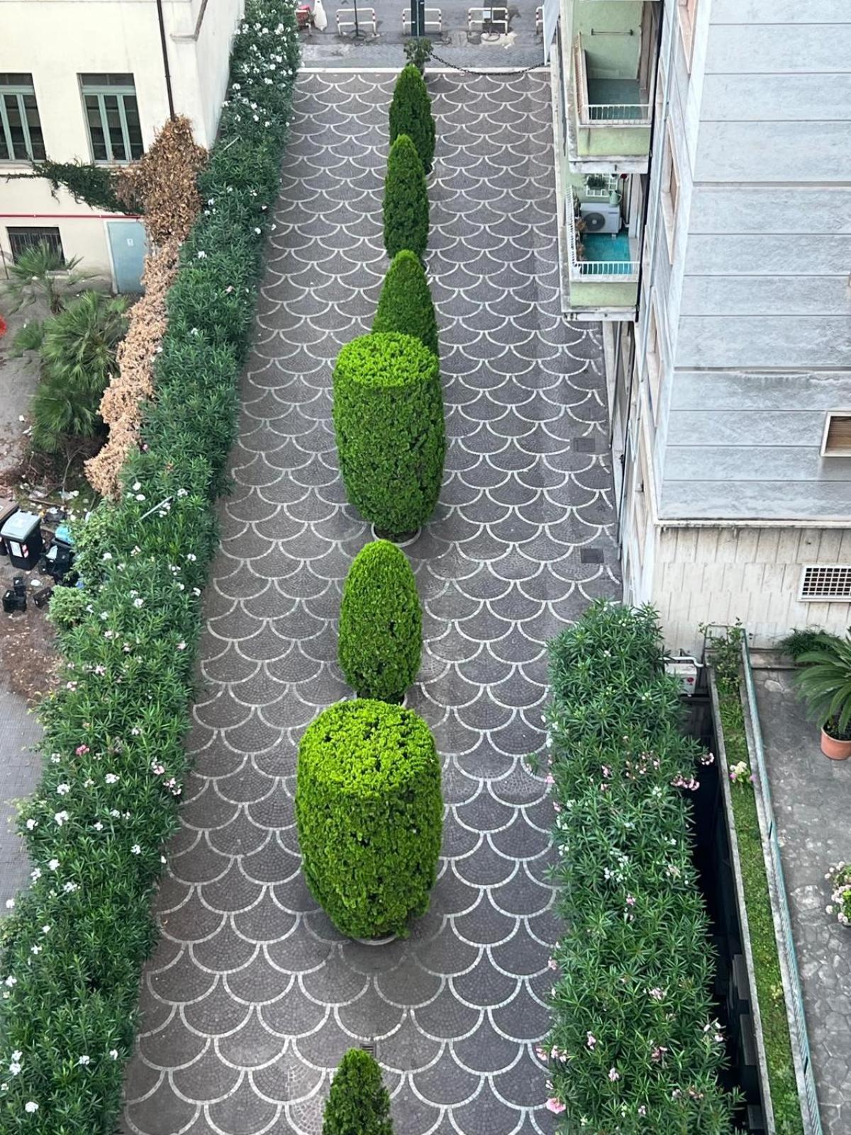 Apartment Luce, Silenzio Ed Eleganza Nel Cuore Di Rom